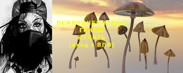 эйфоретик Волоколамск