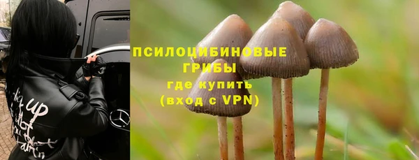 стафф Волосово